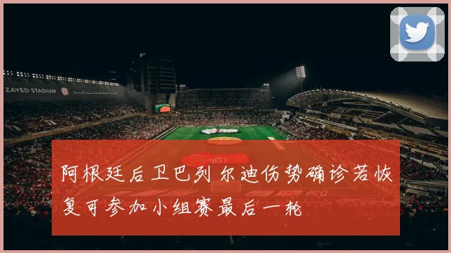 阿根廷后卫巴列尔迪伤势确诊若恢复可参加小组赛最后一轮